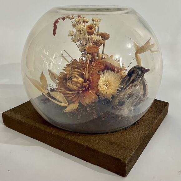 Flowers Other - Vintage 60s Dried Flower Glass Terrarium Bird Floral Strawflower Daisy Bouquet
